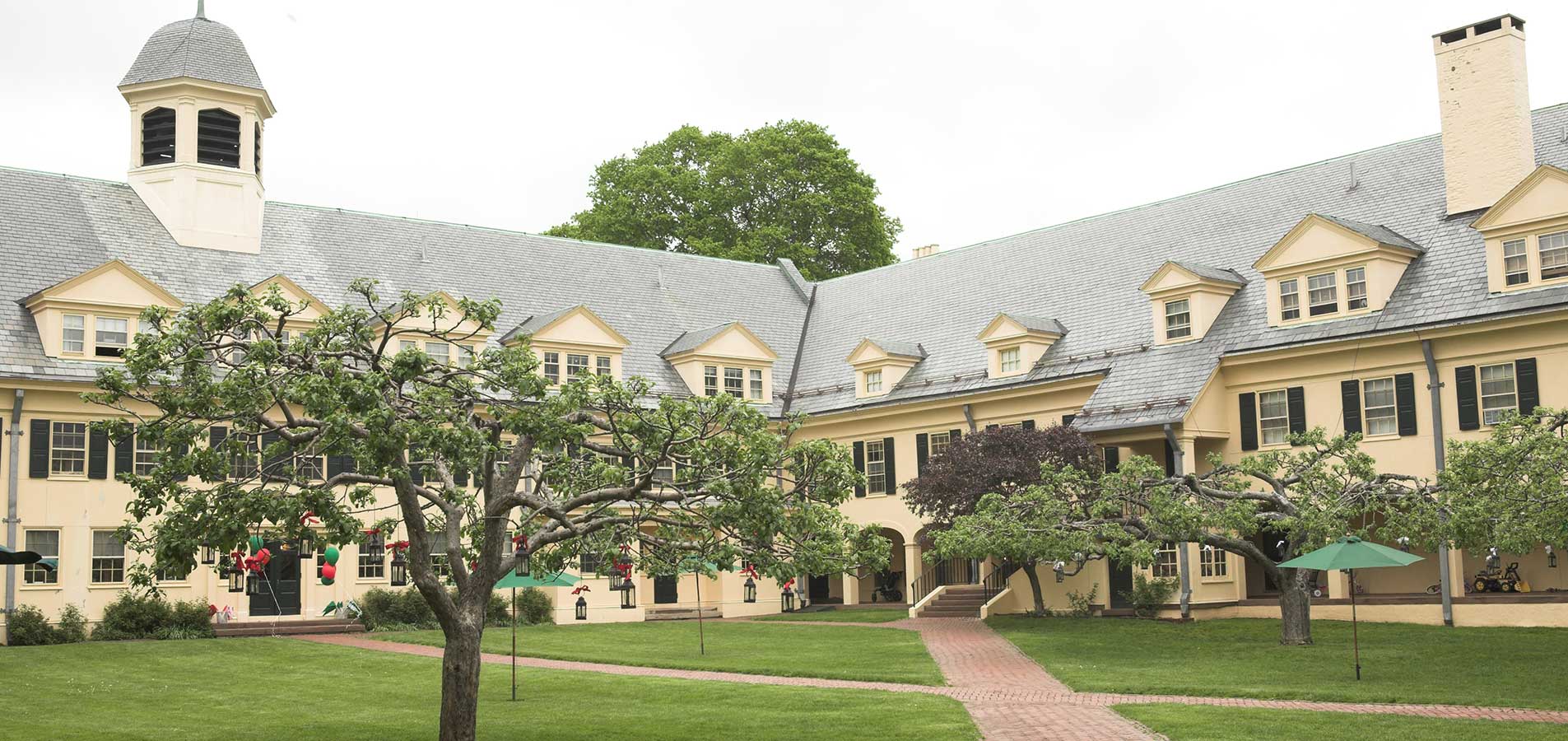 quad and trees