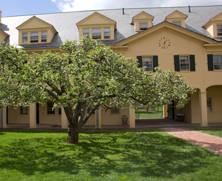 campus exterior in the spring with blooming trees