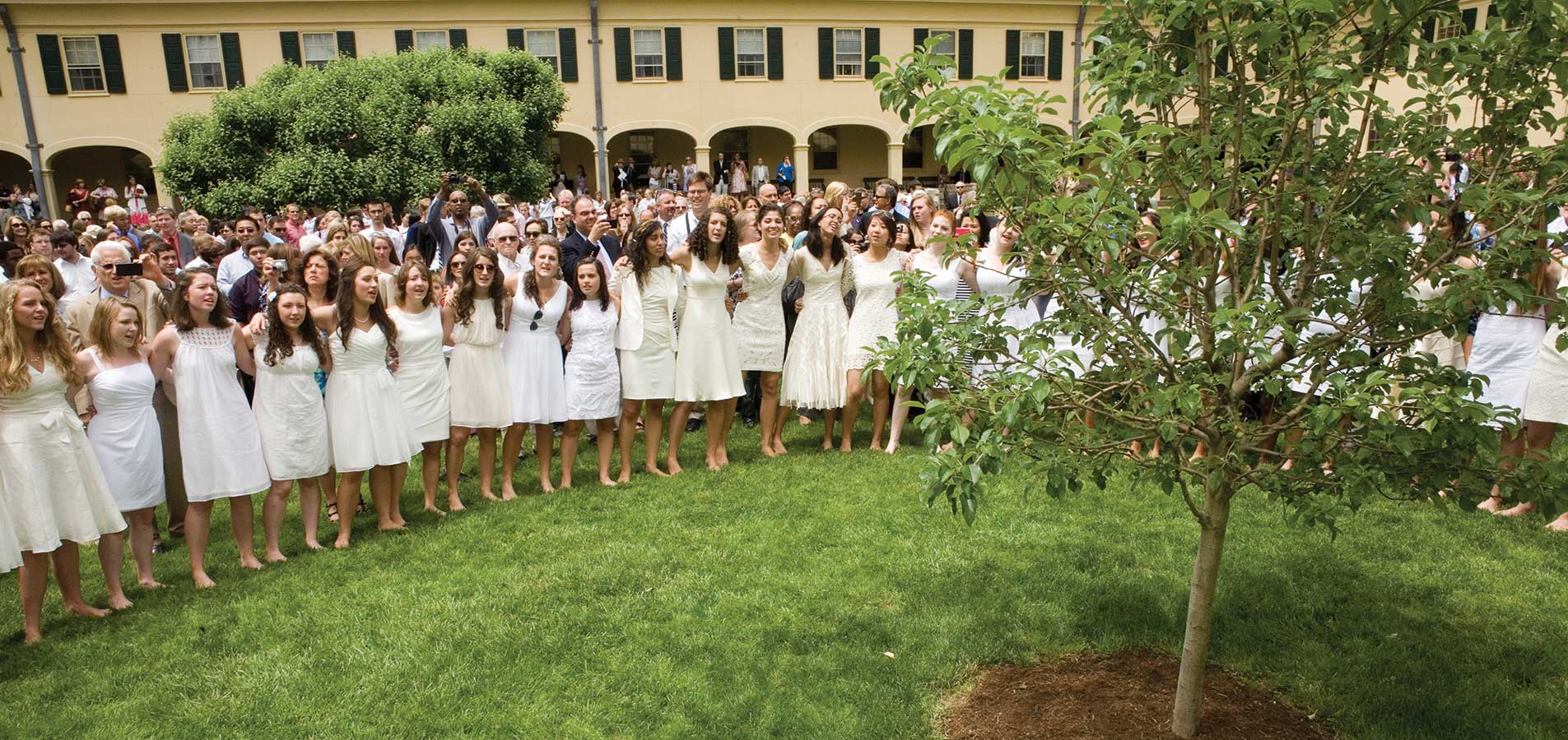 graduation