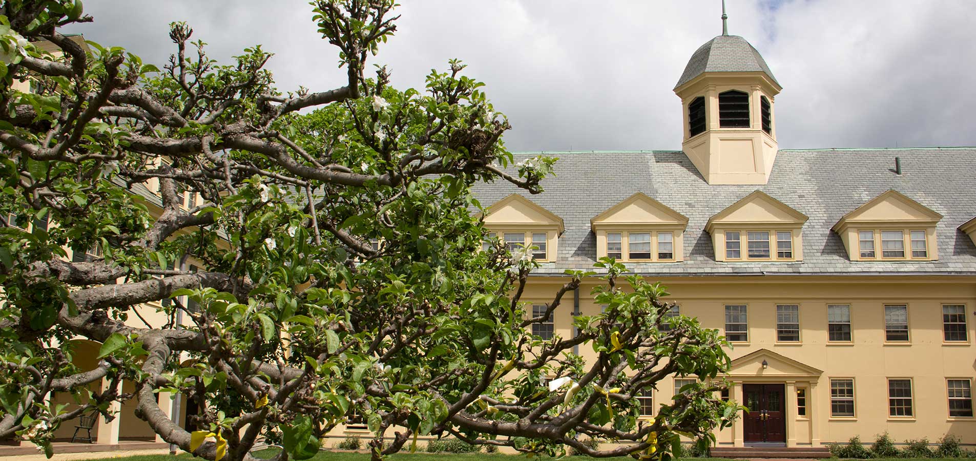campus