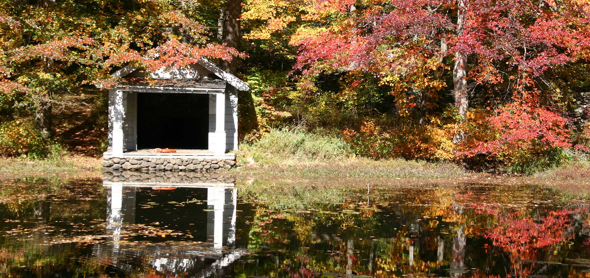 autumn pond house