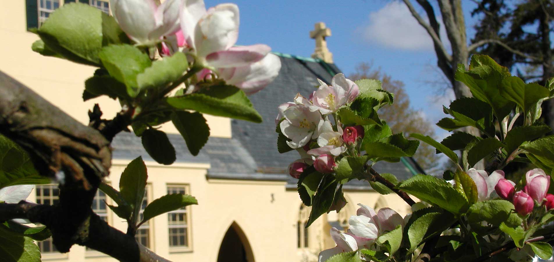 chapel in a blossom